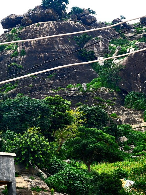 A scenic view of a large rocky cliff face with lush green vegetation growing on and around it, with power lines crossing in the foreground.