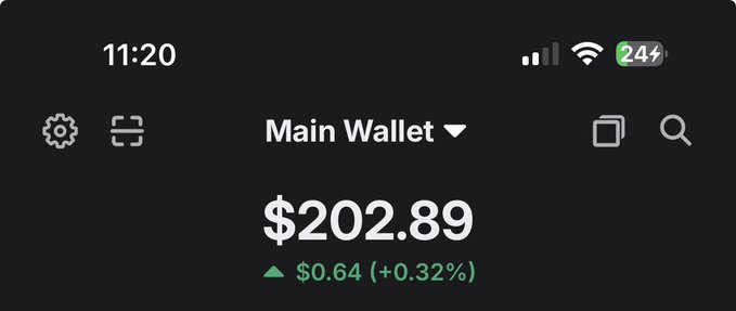 The image shows a crypto wallet app displaying a "Main Wallet" balance of $202.89, up $0.64 (+0.32%) in the last 24 hours. This relates to the post's question about flipping the small $202 balance into $1,000, with the user seeking advice from crypto influencer Ansem on potential trades.