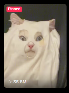 A white cat with a humorous human-like grimacing expression appears on a social media pinned post labeled "Pinned" with 35.8M views.