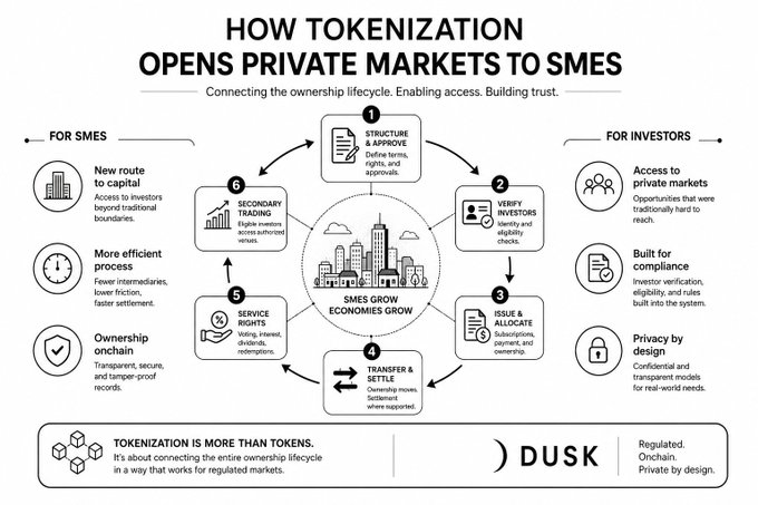 An infographic titled "How Tokenization Opens Private Markets to SMEs" illustrates a six-step ownership lifecycle—from structure and approval to secondary trading—with benefits listed for both SMEs (new route to capital, more efficient process, transparent ownership onchain) and investors (access to private markets, built-in compliance, privacy by design). The diagram, branded by DUSK, supports the post's argument by visually demonstrating how tokenization can streamline capital access and operational efficiency for small and medium-sized enterprises traditionally excluded from private markets.