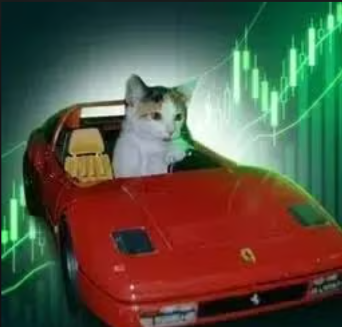 A cat drives a red Ferrari against a backdrop of rising green stock/crypto charts, illustrating the meme's "no risk, no RARI" message of bold speculation to win big with the $RARI token.