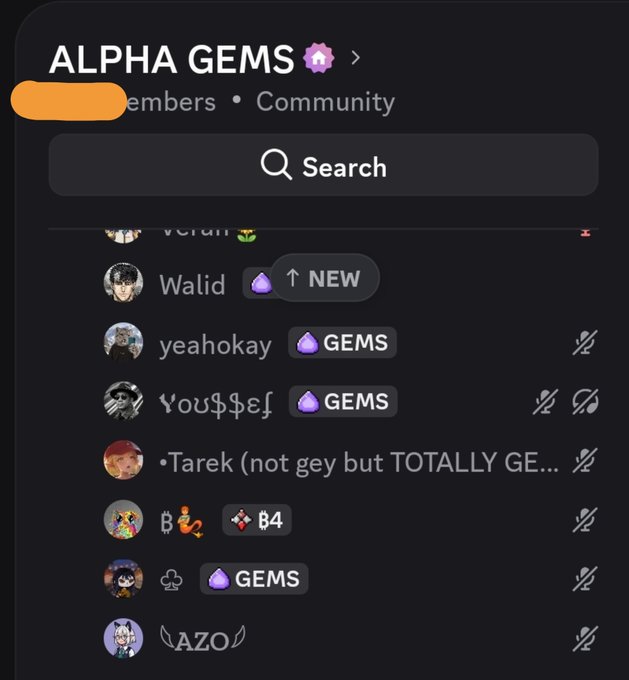 A Discord server interface for 'ALPHA GEMS' showing a members list with usernames including Walid (marked NEW), yeahokay, You$beF, •Tarek, and AZO.