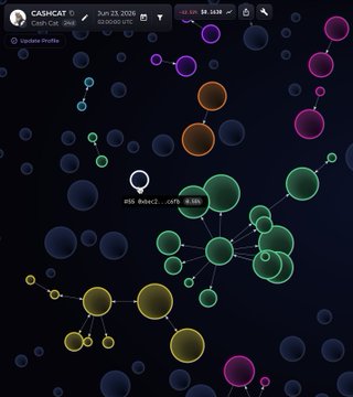 A dark-themed cryptocurrency tracker interface displays a network map of colorful nodes connected by lines, with a search bar showing the ticker "CASHCAT" and details indicating a 2nd holding of $8,468 and -86.38% performance. The visual relates to the post by showing an on-chain analytics tool that could have helped the user "willllliam" track their early investment in $CASHCAT, which they sold too soon and missed a 1,000x gain worth $1M.
