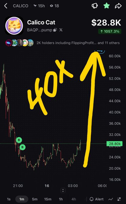 Chart of 'Calico Cat' token showing a massive 1057.3% gain to $28.8K, with a hand-drawn yellow arrow and '40x' annotation pointing upward.