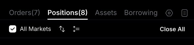 A dark-themed user interface shows a navigation menu with tabs for 'Orders(7)', 'Positions(8)' (currently selected), 'Assets', and 'Borrowing', along with 'All Markets' and 'Close All' options.