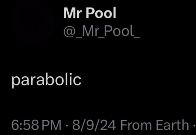 The image is a screenshot of a post from user "Mr Pool" (@_Mr_Pool_) containing only the single word "parabolic," timestamped 6:58 PM on 8/9/24, sent "From Earth." The minimalist, attention-grabbing word directly echoes the post's caption about hoping for a "parabolic run to the upside" in the markets.