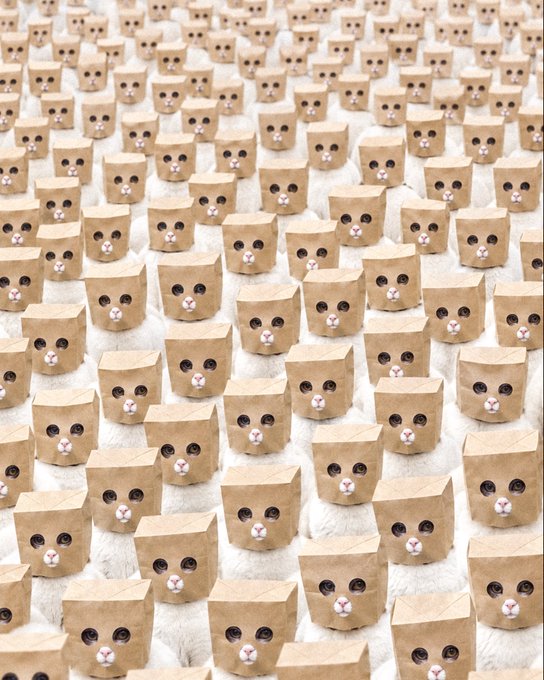 A large grid of cardboard boxes decorated with simple cat faces, featuring drawn eyes and pink noses, arranged in neat rows.