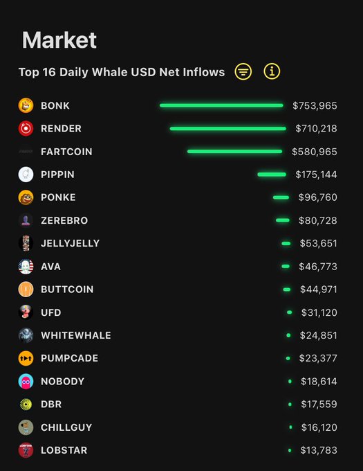 The image shows a bar graph titled "Market" which displays daily U.S.D. net inflows for various cryptocurrency names. These names include BONK, RENDER, FARTCOIN, PIPPIN, PONKE, and several others. The bars represent the respective net inflows of each cryptocurrency, with the tallest bar indicating the highest net flows for that particular name. The graph is set against a black background and features green lines at the top and bottom, likely representing the dates on which these financial data were recorded. The post appears to be discussing how different cryptocurrencies performed in terms of daily net inflows, with a specific focus on whales - a term often used by cryptocurrency investors to describe large-scale investors or institutional buyers.
