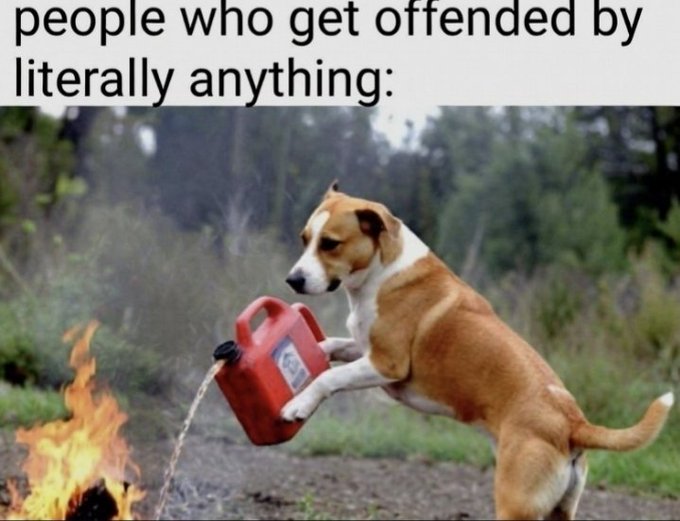 The image features a brown and white dog standing next to an open can of gas, which appears to be spraying gas into its mouth. The caption below the image reads "People who get offended by literally anything", suggesting that this scene might be related to a humorous or satirical commentary on how people react to offensive situations. 

The post is titled "Me with" and has been tagged as "dog lovers". This indicates that the image may have been taken during an event or gathering for dog owners, where they shared funny or unusual photos of their pets.