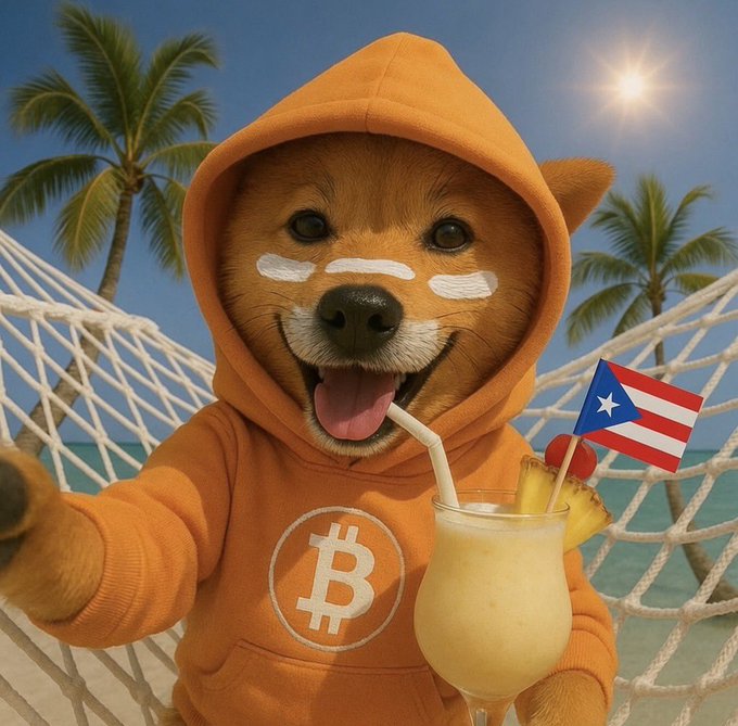 The image features a brown dog wearing an orange hoodie with the Bitcoin symbol, holding a glass of pineapple juice or lemonade while sitting in a hammock at the beach. The caption reads "$DOG found paradise. Greetings from Puerto Rico!".