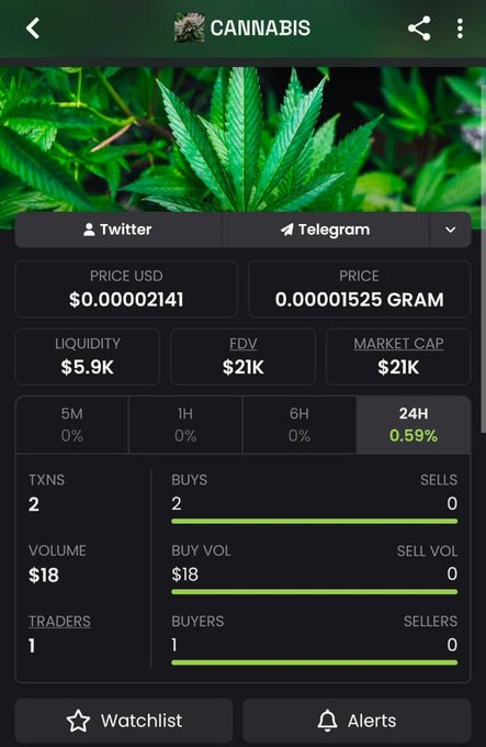 A cryptocurrency token tracker screen for 'CANNABIS' showing a price of $0.00002141 USD (0.000001525 GRAM), with $5.9K liquidity and $21K market cap, displaying 2 transactions and 1 trader in the last 24 hours.