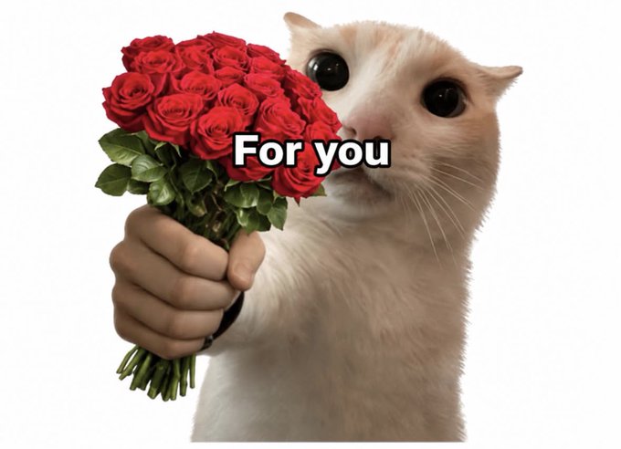 A white cat holds a bouquet of red roses with the text "For you" overlaid in bold white letters across the center of the image.
