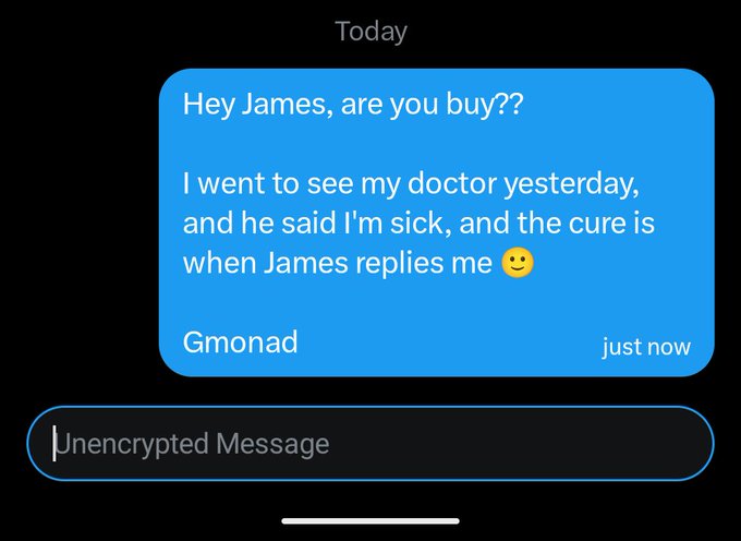 A text message screenshot addressed to James reading 'Hey James, are you buy?? I went to see my doctor yesterday, and he said I'm sick, and the cure is when James replies me 😔 Gmonad' with 'Unencrypted Message' at the bottom.
