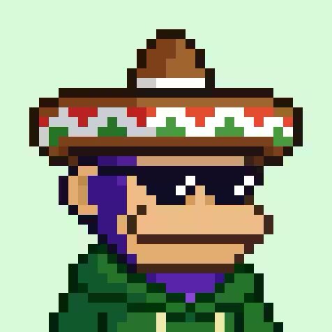 A pixel art image of a character wearing a sombrero, sunglasses, and a green jacket against a light green background.