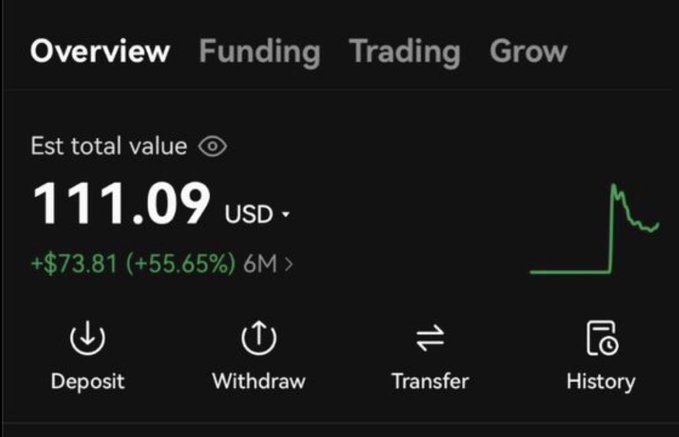 A crypto wallet overview screen displaying an estimated total value of 111.09 USD (+$73.81, +55.65%) over 6 months, with deposit, withdraw, transfer, and history options.