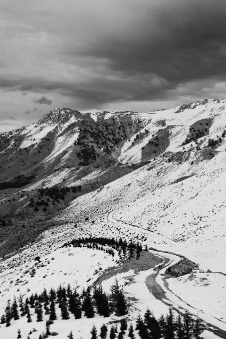 A black-and-white landscape photograph of a snow-covered mountain valley with a winding dirt road and scattered pine trees under a cloudy sky.