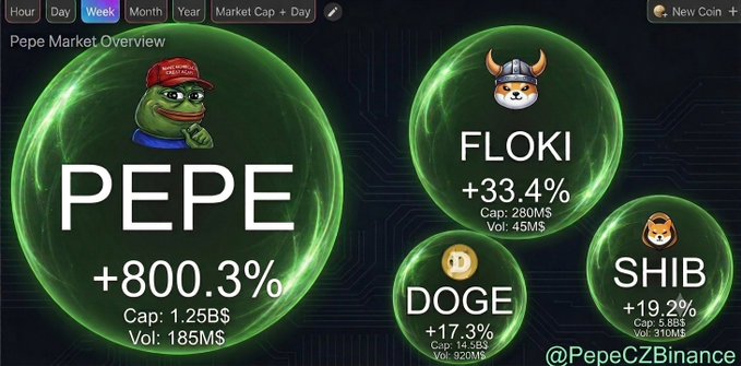A 'Pepe Market Overview' infographic from @PepeCZBinance displaying weekly gains: PEPE +800.3% (Cap: 1.25B$), FLOKI +33.4%, DOGE +17.3%, and SHIB +19.2%.