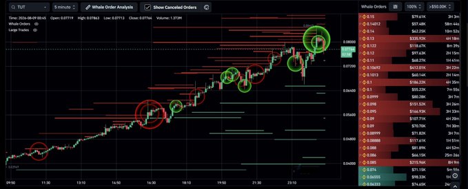 A financial trading chart for TUT/USDT displays whale order analysis with circled candlestick patterns and a whale orders panel on the right.
