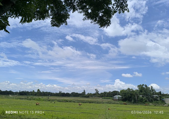 A pastoral landscape of green rice paddies with cows grazing, distant trees and houses, under a blue sky with scattered clouds, timestamped '07/06/2026 12:45' on a 'REDMI NOTE 13 PRO+'.