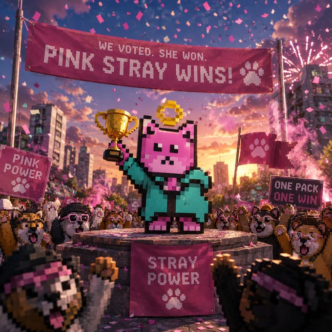 A pixelated pink cat character wearing a crown and teal hoodie triumphantly holds a golden trophy on a stage, surrounded by cheering Shiba Inu fans and banners reading "WE VOTED. SHE WON. PINK STRAY WINS!", "PINK POWER", "ONE PACK ONE WIN", and "STRAY POWER" amid pink confetti and fireworks, celebrating the Solana Strays Party's victorious candidate.