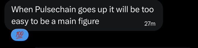 Text message screenshot reading 'When Pulsechain goes up it will be too easy to be a main figure' sent 27 minutes ago with a 100 emoji reaction.