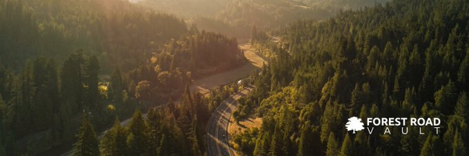 A winding road cuts through a dense, sunlit forest, evoking the "Forest Road" name of the protocol, with the "Forest Road Vault" logo in the bottom right corner—visually tying the off-chain pathway to the onchain credit flow described in the post.
