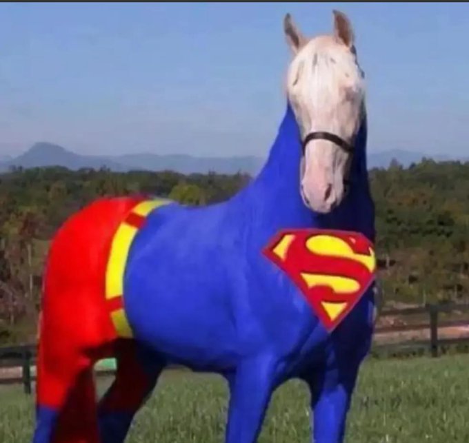 A white horse is painted to resemble Superman, featuring a blue body, red and yellow trunks, and the iconic Superman logo on its chest.