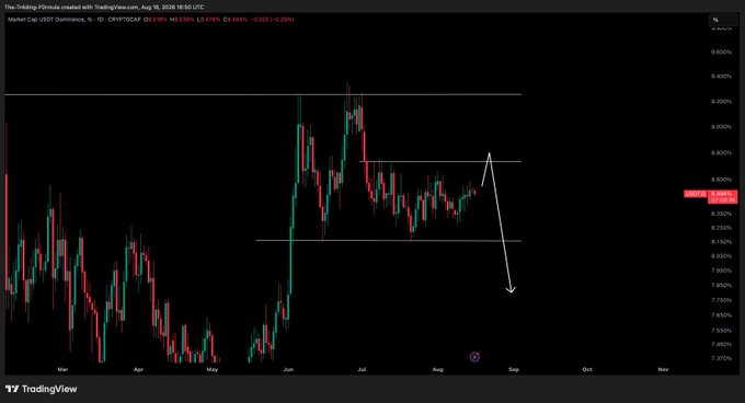 A TradingView daily candlestick chart of USDT.D dominance (USDT Dominance at 8.639%) from March through November 2024, showing a recent rejection near the 8.80% resistance level with hand-drawn white arrows indicating a projected spike upward followed by a decline, supporting the post's expectation of another leg down for BTC before a larger rally.