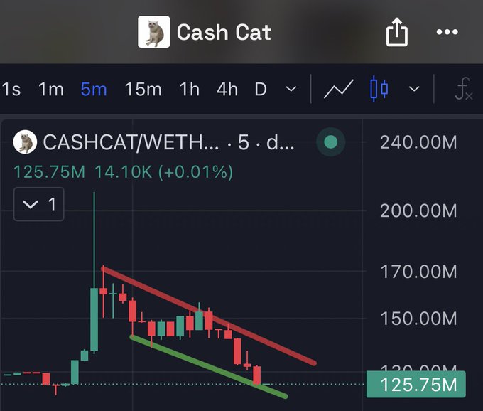 A chart of CASHCAT/WETH (Cash Cat) on a 5-day timeframe shows the token declining from a peak of 240.00M to 125.75M, illustrating a sharp post-listing sell-off with visible downtrend channels marked by red and green trendlines.