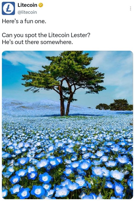 A vibrant field of blue nemophila flowers stretches beneath a tree with snow-capped mountains in the background, though no figure is readily visible among the blooms.

The image ties to Litecoin's @litecoin post playfully challenging followers to find "Litecoin Lester" hidden in the scenery, mirroring the tweet's hint that the mascot is elusive yet still present ahead of a "relaunch."