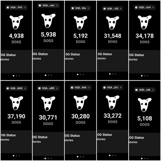 The image shows a series of 10 dark-themed cards displaying a cartoon dog face logo alongside wallet addresses (e.g., UQA...Wvc, UQB...NDG) and DOGS token allocations ranging from 4,938 to 37,190 DOGS, illustrating the user's status as a "OG Status" holder across multiple wallets for the $DOGS airdrop.