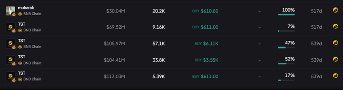 A dark-themed table displaying meme coin statistics including muberak ($30.04M) and multiple TST entries on BNB Chain, showing market cap, holders, buy price, and percentage gains.