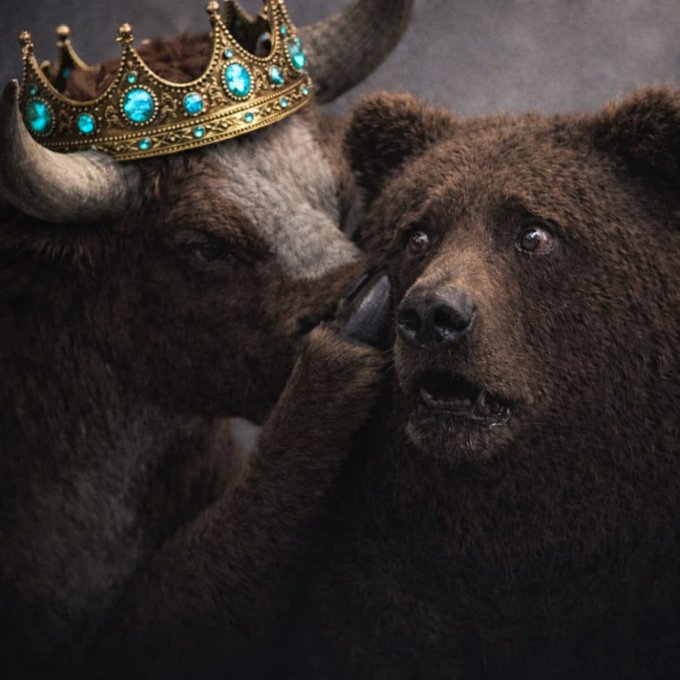 Two bears, one wearing a golden crown adorned with turquoise jewels, nuzzle each other closely in a whimsical, regal scene.