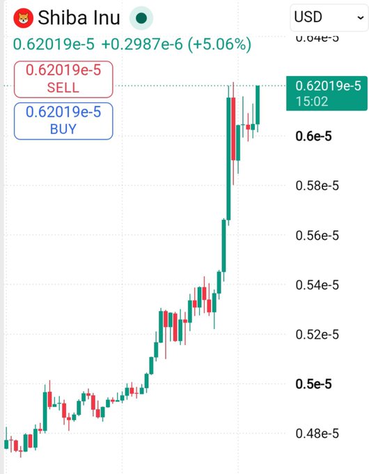 A candlestick chart shows Shiba Inu (SHIB) priced at 0.62019e-5 USD, up +5.06%, with a clear upward trend.