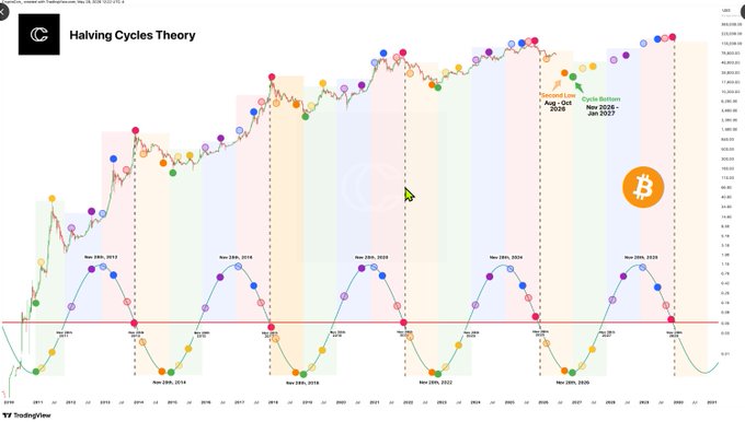 The image presents a colorful bar graph depicting the value of Bitcoin over time, which has seen a significant increase since 2002. The x-axis indicates the years from 2002 to 2020, while the y-axis displays the value of Bitcoin during those years in millions of dollars. The chart is a visual representation of Bitcoin's rise and fall throughout the past twelve years, giving viewers an easy understanding of its historical performance.