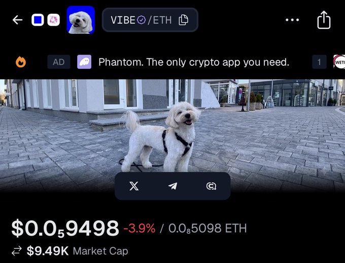 A screenshot of a Phantom wallet interface showing a token called VIBE/ETH priced at $0.059498 (down 3.9%) with a $9.49K market cap, displayed above an image of a white fluffy dog wearing a harness standing on a paved walkway.