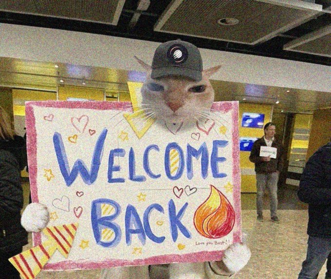 A cat wearing a gray cap holds up a hand-drawn "WELCOME BACK" sign decorated with hearts, stars, and a flame illustration at what appears to be an airport.