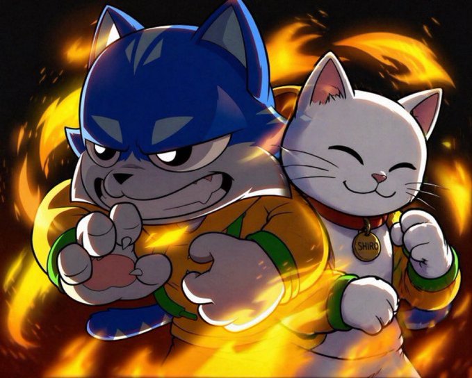 An illustration of two anthropomorphic cat characters surrounded by flames — a blue cat with a fierce expression wearing an orange and green outfit, and a white smiling cat wearing a red collar with a 'SHIBO' tag.