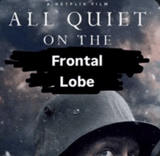 A meme based on the Netflix film poster for 'All Quiet on the Western Front,' where 'Western Front' has been censored with black bars and replaced with the words 'Frontal Lobe'.
