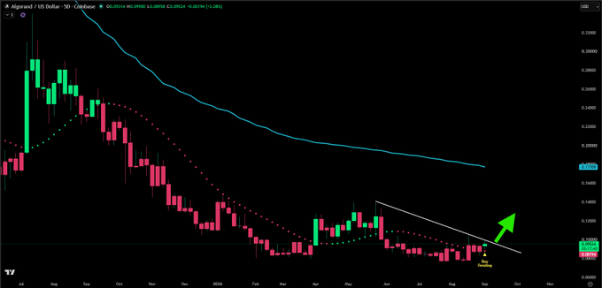 A candlestick chart of Algorand (ALGO) priced against the US Dollar on Coinbase shows a multi-month downtrend with a descending moving average line, featuring a marked "Pending" bullish candle signal at the bottom right with a green arrow pointing upward, suggesting a potential trend reversal.