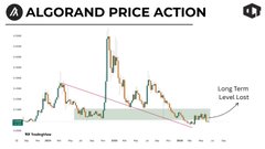 The image shows an Algorand price action chart against a gray background, with text at the top that reads "Algorithmic Trading". The chart tracks the fluctuations of Algord prices from January 2006 through May 2008. The line graph depicts a downward trend in Algord prices during this period, reaching its lowest point at approximately $0.084 and remaining there for around 97% of the time it was in that position. This downward trajectory indicates a drop in value, with the price action chart reflecting an eventual loss for Algord during this time frame.