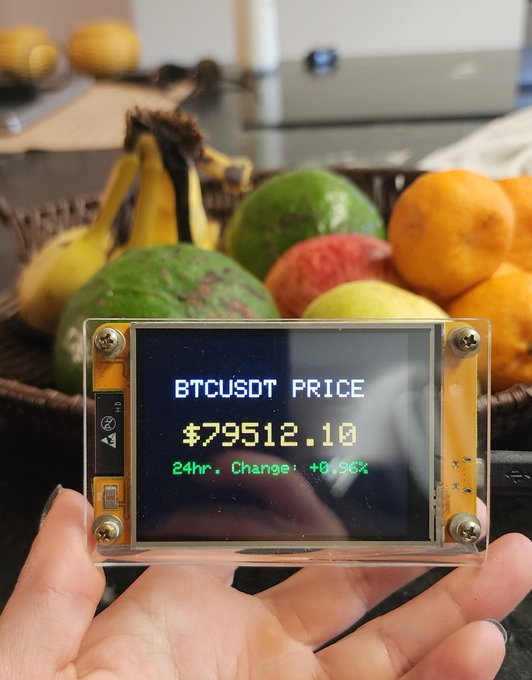 A hand holds a small DIY digital display showing cryptocurrency information: 'BTCUSDT PRICE', '$79512.10', and '24hr. Change: +8.98%', with a fruit basket visible in the blurred background.