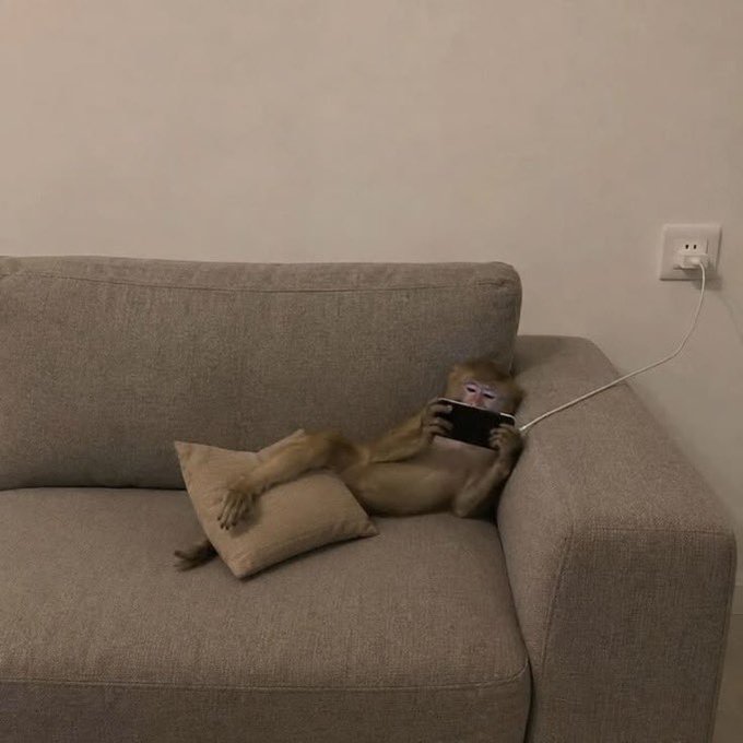 A monkey lounges on a beige couch with its head resting on a pillow, holding a smartphone plugged into a wall outlet as if charging while browsing.