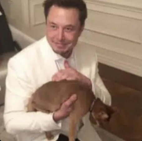 A man in a white suit smiles while giving a thumbs-up and holding a small brown animal, possibly a beaver or large rodent.