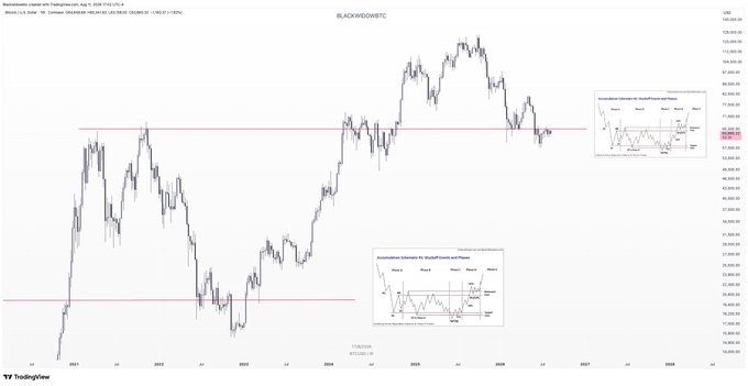A TradingView chart of $BTCUSD on Bitstamp shows Bitcoin's price action from 2021 to 2028, with horizontal pink support and resistance lines drawn around the 16k-20k and 95k-100k zones, alongside two small Wyckoff accumulation phase diagrams (Phases 1-5) comparing Bitcoin's current price structure to historical patterns.
