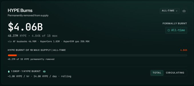 A dashboard showing 'HYPE Burns' statistics with $4.06B permanently removed from supply, representing 4.84% of 1B max HYPE tokens burned, showing burn data from AF buybacks and HyperEVM gas.