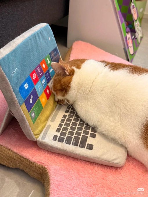An orange and white cat sleeps curled up on a plush toy laptop designed to look like a Windows start screen with colorful tiles.