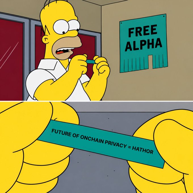 A two-panel image featuring Homer Simpson from The Simpsons; the top panel shows him looking at a 'FREE ALPHA' poster, while the bottom panel reveals him holding a green strip that reads 'FUTURE OF ONCHAIN PRIVACY = HATHOR'.