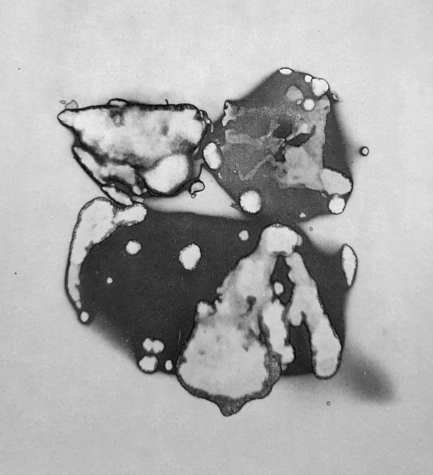A black and white image of liquid spreading and pooling on a light surface, creating irregular organic shapes.