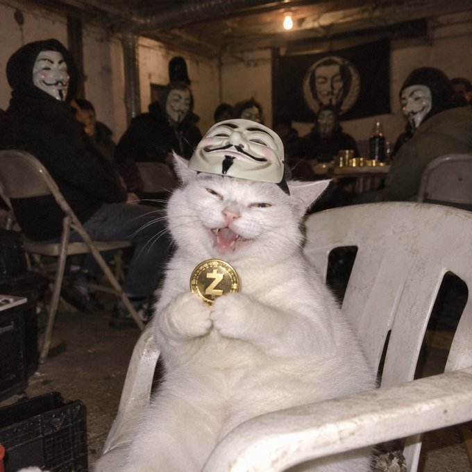 A white cat wearing a Guy Fawkes mask and holding a Zcash (Z) coin sits in a plastic chair, surrounded by people wearing similar masks in what appears to be an Anonymous-style gathering.